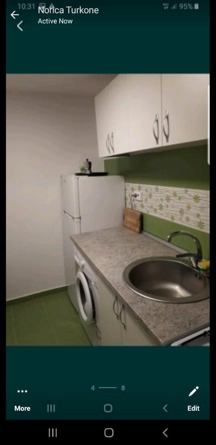 تيميشورا Casa Verde المظهر الخارجي الصورة